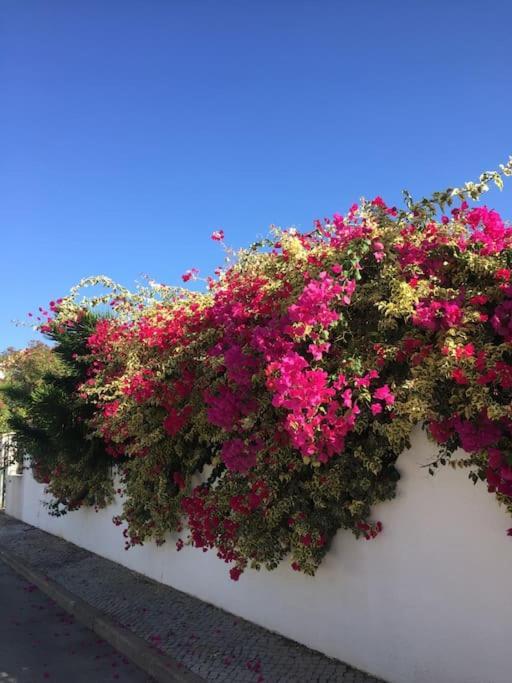 Apartment Cosy Centre De Tavira *